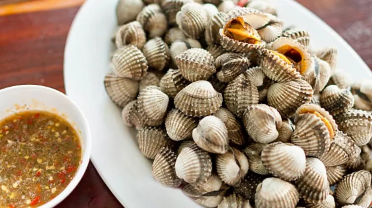 Luar Biasa! Ini Manfaat Kerang untuk Kesehatan dan Tips Olahnya