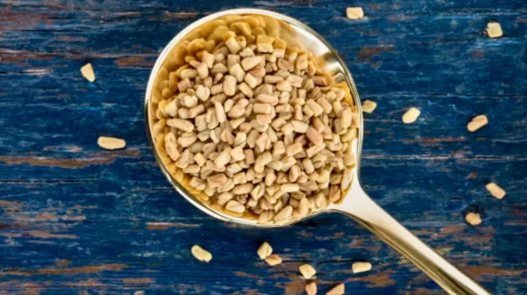 Sangat Ampuh! Khasiat Fenugreek bagi Kesehatan Tubuh dan Tipsnya