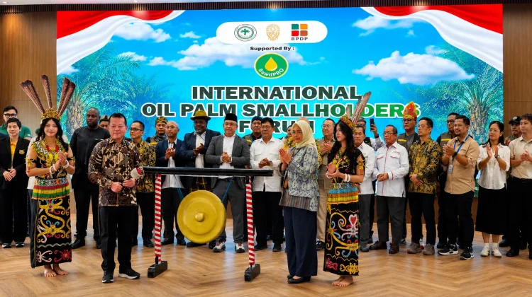 Pemprov Kaltim Dorong Koperasi Petani Sawit Dikelola Secara Profesional