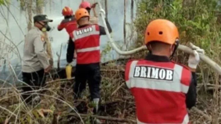 Brimob Perkuat Kesiapsiagaan Hadapi Karhutla di Kubar