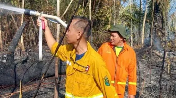 Lima Titik Karhutla Bersamaan, KPH Mook Manaar Bulatn Kewalahan Personel