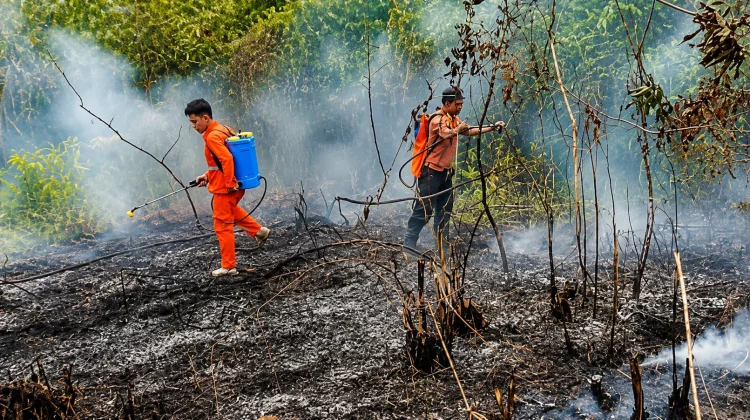 Dinkes Kaltim Siapkan Masker hingga Air Bersih Antisipasi ISPA akibat Karhutla