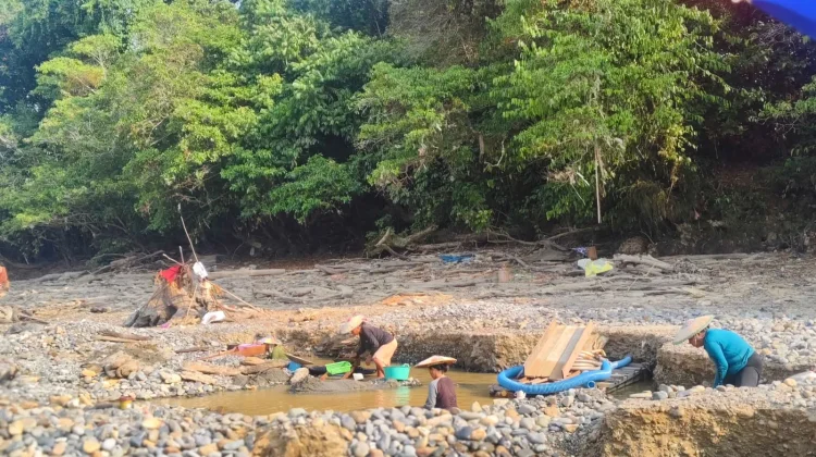 Sungai Surut, Masyarakat Mahulu Manfaatkan Kemarau untuk Mencari Emas