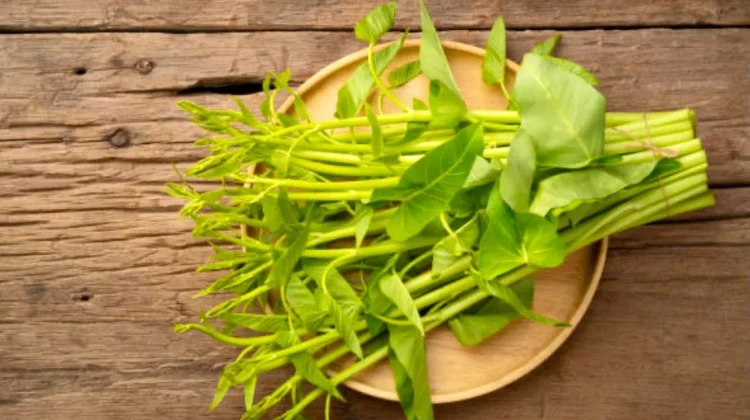 Manfaat Utama Sayur Kangkung yang Jadi Favorit Masyarakat Indonesia