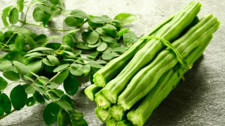 Manfaat Teh Daun Kelor: Seduhan Hijau Kaya Nutrisi Penjaga Imun