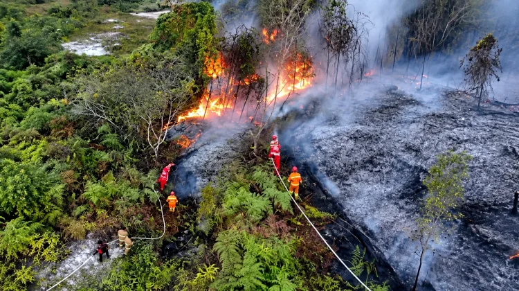 Karhutla di Kubar Tak Kunjung Mereda, 141 Kejadian dan 6.238 Hektare Terbakar