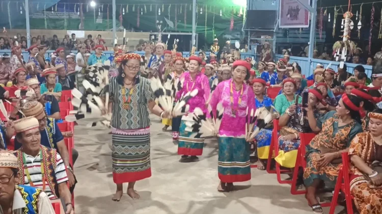 Kebijakan Efisiensi Anggaran Bukan Kendala Pengembangan Budaya di Mahulu