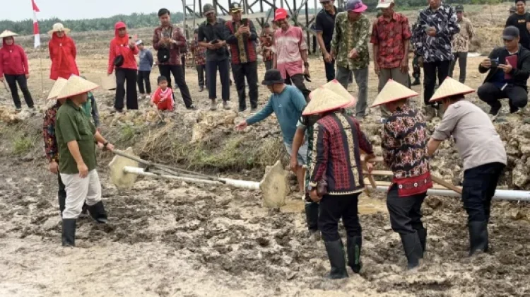 Sawah Cetak Didorong Jadi Aset Masa Depan dan Lumbung Pangan Kampung