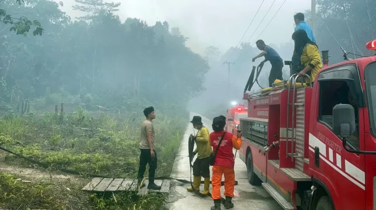 Kasus ISPA akibat Kabut Asap Karhutla di Kaltim Tembus 9.499