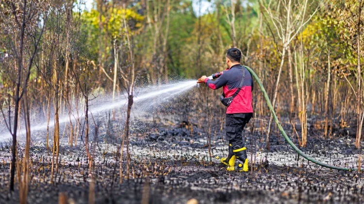 BPBD Kubar Sigap Atasi Kebakaran Lahan di Simpang Raya