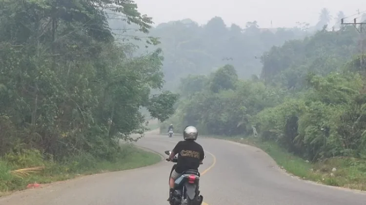 Kabut Asap Kembali Menebal di Kubar, Warga Keluhkan Jarak Pandang dan Mata Perih