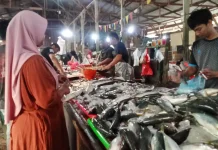 Mendekati Ramadan, Harga Ikan Layang dan Tongkol Normal
