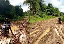 Gubernur Kaltim Minta Segera Bangun Jalan 3 Desa Tertinggal di Kubar