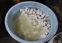 Cara Mudah Membuat Tahu Sendiri di Rumah