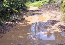 Jalan Rusak Ancam Keselamatan Warga di Kecamatan Jempang