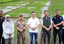 Kementan dan Bapanas Cek Lahan Pertanian di Kubar, Soroti Potensi Belum Optimal