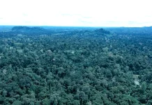 Lahan Subur Intu Lingau Terancam Ekspansi Sawit, Yulianus Henock: Jangan Beri Izin