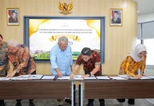 Tiga Investor Baru Siap Bangun Mal hingga Fasilitas Olahraga di IKN