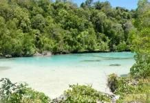 Pesona Tersembunyi Laguna Kehe Daing di Kepulauan Derawan