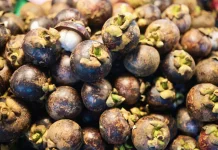 Dijuluki sebagai ratu buah tropis ini manfaat manggis