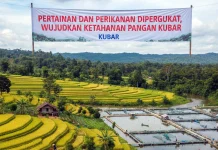 Pertanian dan Perikanan Diperkuat, Wujudkan Ketahanan Pangan Kubar
