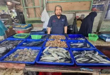 Harga Ikan Layang di Kubar Meroket hingga Rp60 Ribu per Kilogram