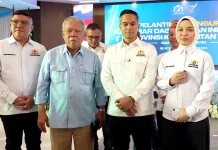 Kadin Lirik Investasi Energi Terbarukan di IKN