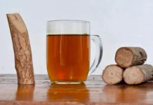 Kayu Bajakah: Mitos atau Fakta Penyembuh Kanker Kronis?