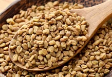 Biji Klabet Bantu Kendalikan Gula Darah Penyintas Diabetes