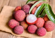 Si Manis Pelindung Jantung: Rahasia Manfaat Buah Leci untuk Kesehatan Tubuh