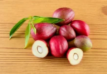 Buah Mahkota Dewa, Sang Penakluk Racun