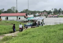 Transportasi Sungai Mahakam Masih Jadi Andalan Warga Tering Kubar