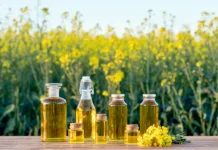 Lima Manfaat Minyak Kanola bagi Kesehatan, Pilihan Minyak Goreng Ramah Jantung