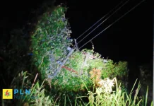 PLN Upayakan Listrik di Bengris hingga Bentian Besar Segera Normal