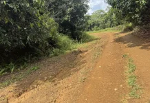 Akses Jalan dan Listrik Jadi Kendala Wisata Gunung S Kubar