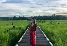 Atasi Kekurangan Lahan di Kubar, Kementan Siapkan Cetak Sawah Baru