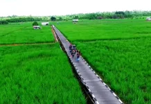 Lima Lokasi Potensial untuk Cetak Sawah Baru di Kutai Barat