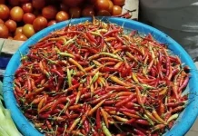Harga Cabai di Pasar Nala Kubar Tembus Rp135 Ribu per Kilogram