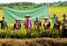 Bupati Kubar Larang Alih Fungsi Sawah demi Wujudkan Swasembada Pangan