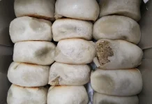 Sejarah Bakpia Patuk Oleh-Oleh Khas Yogyakarta Populer