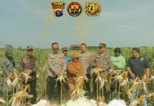 Polres Kutai Kartanegara Gelar Panen Raya 1 Ton Jagung