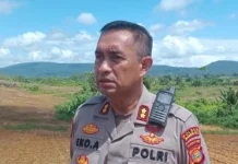 Polres Mahulu Dorong Lahan Pertanian Masyarakat Sebagian untuk Penanaman Jagung