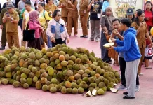 Ribuan Warga Serbu Durian Gratis di Festival Durian Sendawar