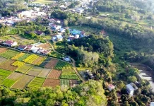 DPRD Kubar Siapkan Perda Perlindungan Lahan Pertanian dari Alih Fungsi