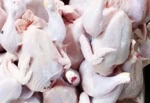 Pasca Lebaran Harga Daging Ayam Potong Mulai Turun