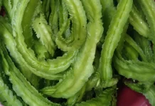 Manfaat Sayur Kecipir, Lezat dan Kaya Nutrisi