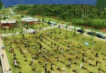 Wisata Sambil Menanam Pohon, Otorita Ajak Pengunjung Tinggalkan Jejak Hijau di IKN