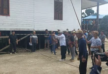 Ritual Mecak Undat Datah Bilang Diwarnai Lomba Tradisional dan Kesenian