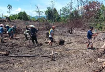 Kearifan Lokal, Olah Lahan Pertanian di Mahulu Harapan Antisipasi Karhutla