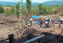 Metro dan Bantul Perkuat Strategi Pertanian Hadapi Ancaman El Niño
